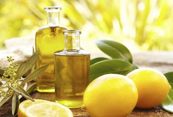 Польза оливкового масла натощак как принимать