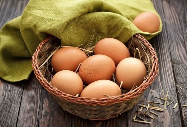 Белки яиц вред и польза