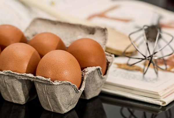 Польза или вред от белка яиц