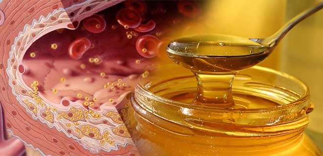 Можно ли мед при холестерине