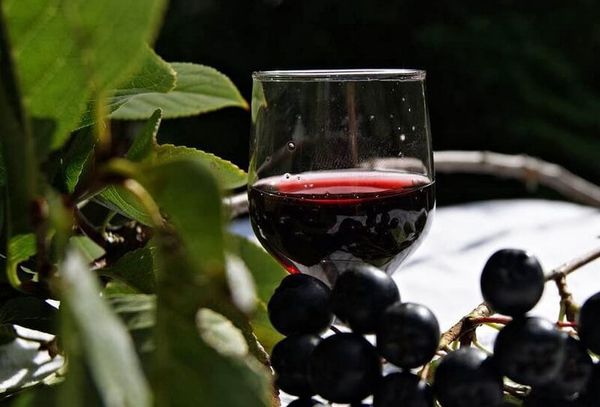Вино черноплодная рябина польза и противопоказания