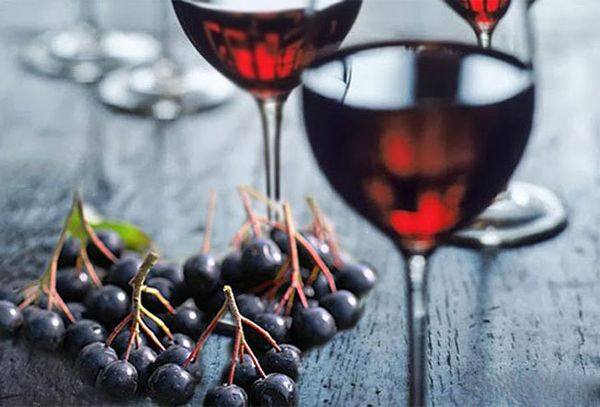 Вино черноплодная рябина польза и противопоказания