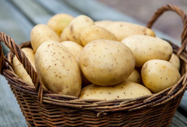 Польза картофельного отвара для организма